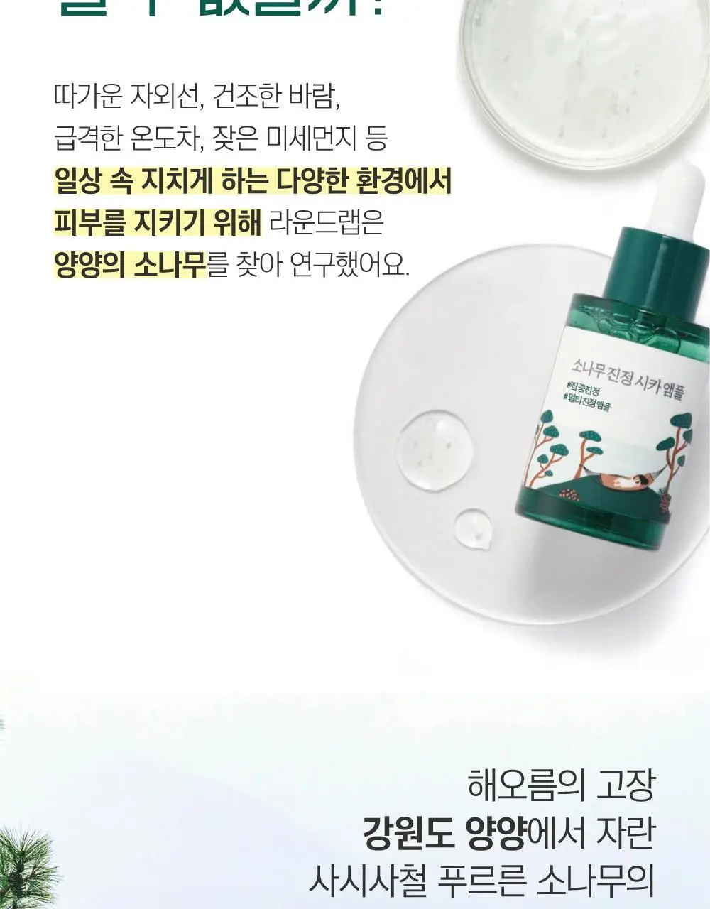 [집중진정] 라운드랩 소나무 진정 시카 앰플 30ml 기획 (+토너 20ml) 상세페이지 11